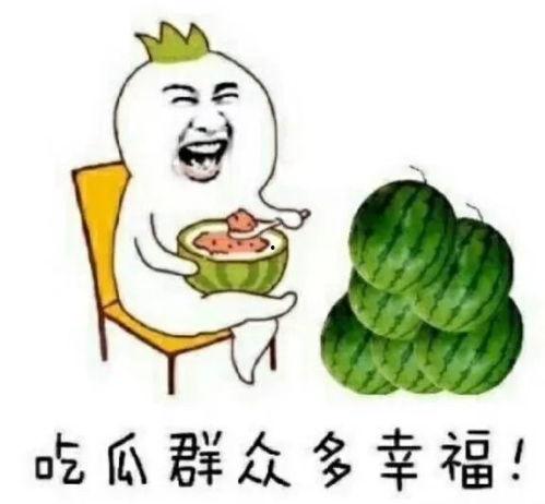 一线吃瓜娱乐圈讲的什么,一线吃瓜者的独家揭秘